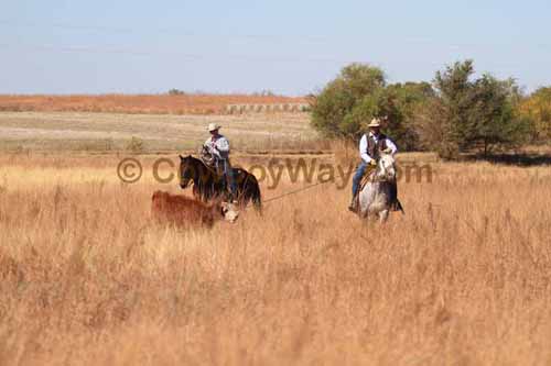 CRCM Pasture Roping, 11-07-15 - Photo 28