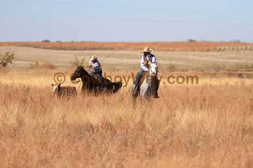 CRCM Pasture Roping, 11-07-15 - Photo 29