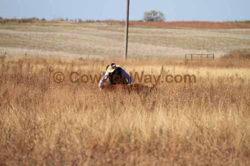 CRCM Pasture Roping, 11-07-15 - Photo 30