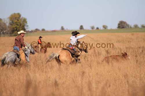 CRCM Pasture Roping, 11-07-15 - Photo 33