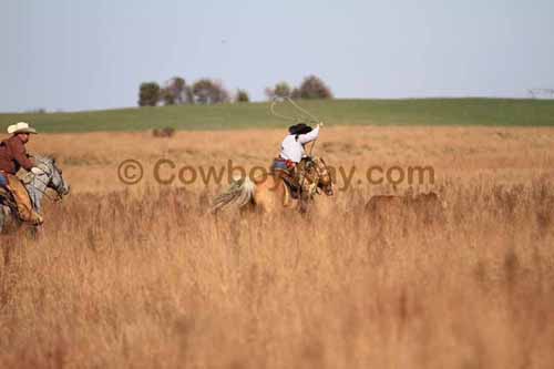 CRCM Pasture Roping, 11-07-15 - Photo 34