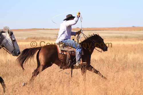 CRCM Pasture Roping, 11-07-15 - Photo 35