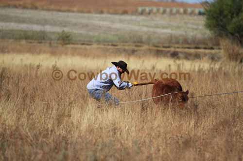 CRCM Pasture Roping, 11-07-15 - Photo 38