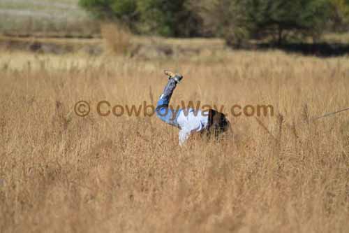 CRCM Pasture Roping, 11-07-15 - Photo 39