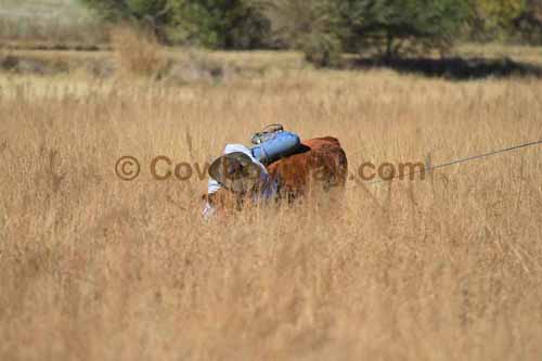 CRCM Pasture Roping, 11-07-15 - Photo 41