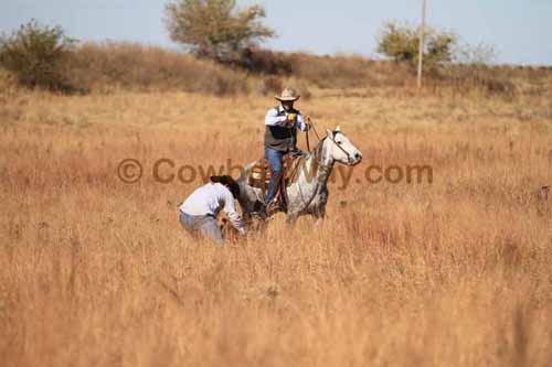 CRCM Pasture Roping, 11-07-15 - Photo 42