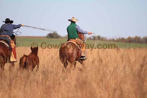CRCM Pasture Roping, 11-07-15 - Photo 46