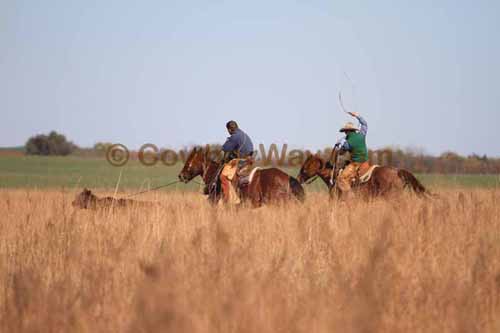 CRCM Pasture Roping, 11-07-15 - Photo 48