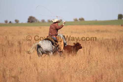 CRCM Pasture Roping, 11-07-15 - Photo 49