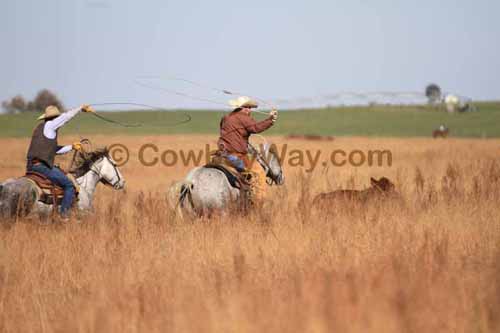 CRCM Pasture Roping, 11-07-15 - Photo 50