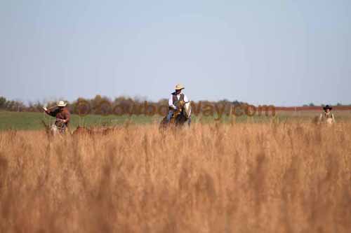 CRCM Pasture Roping, 11-07-15 - Photo 51