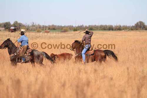 CRCM Pasture Roping, 11-07-15 - Photo 52