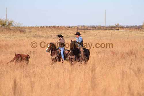 CRCM Pasture Roping, 11-07-15 - Photo 53