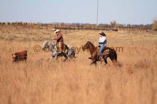 CRCM Pasture Roping, 11-07-15 - Photo 55