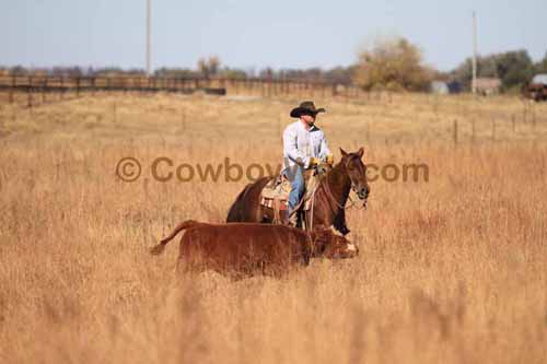 CRCM Pasture Roping, 11-07-15 - Photo 56