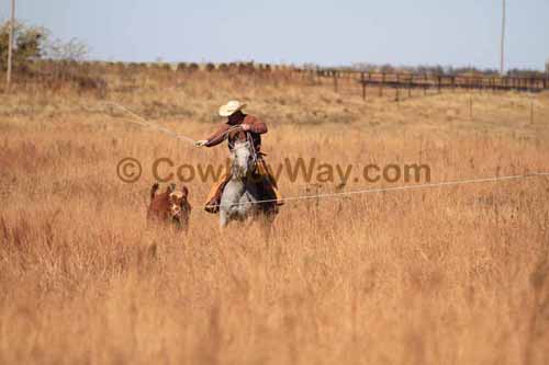 CRCM Pasture Roping, 11-07-15 - Photo 57