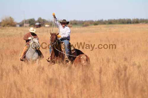 CRCM Pasture Roping, 11-07-15 - Photo 58