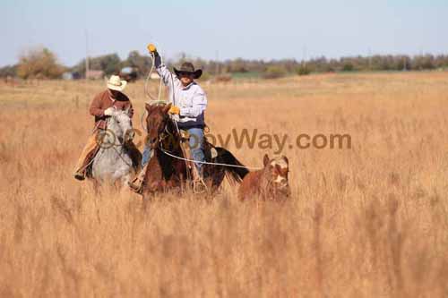 CRCM Pasture Roping, 11-07-15 - Photo 59