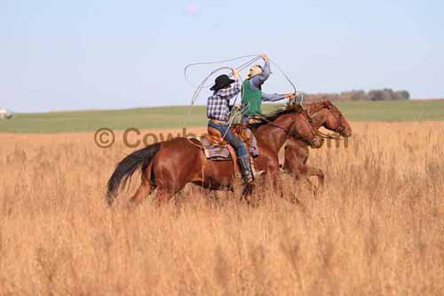 CRCM Pasture Roping, 11-07-15 - Photo 61