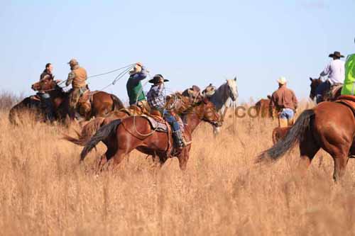 CRCM Pasture Roping, 11-07-15 - Photo 62