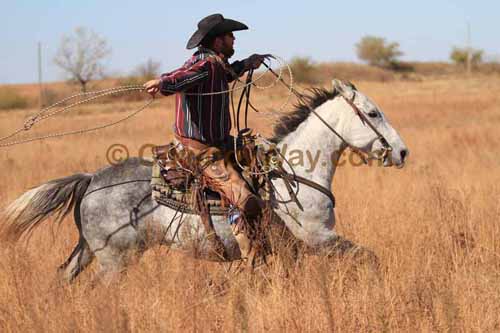 CRCM Pasture Roping, 11-07-15 - Photo 63