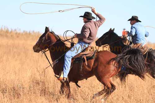 CRCM Pasture Roping, 11-07-15 - Photo 65