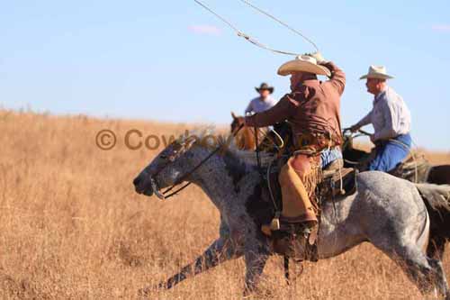 CRCM Pasture Roping, 11-07-15 - Photo 67