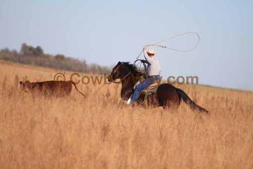 CRCM Pasture Roping, 11-07-15 - Photo 69