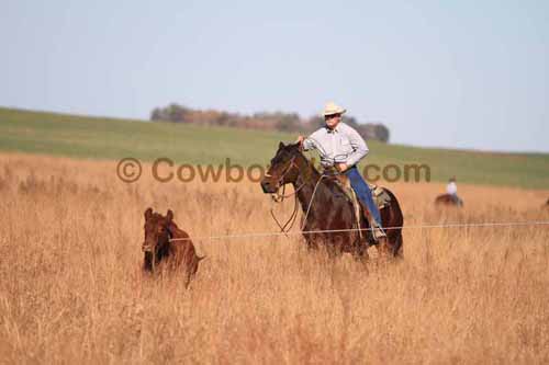 CRCM Pasture Roping, 11-07-15 - Photo 70