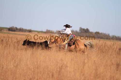 CRCM Pasture Roping, 11-07-15 - Photo 71