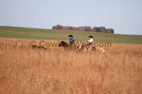 CRCM Pasture Roping, 11-07-15 - Photo 72
