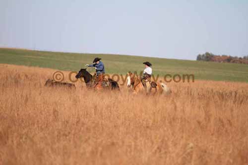 CRCM Pasture Roping, 11-07-15 - Photo 73