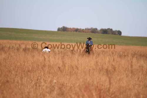 CRCM Pasture Roping, 11-07-15 - Photo 74