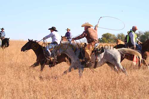 CRCM Pasture Roping, 11-07-15 - Photo 75