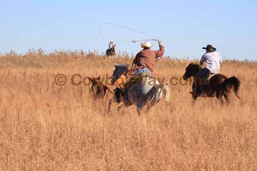 CRCM Pasture Roping, 11-07-15 - Photo 76