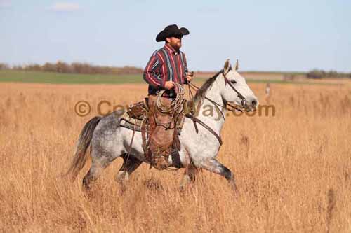 CRCM Pasture Roping, 11-07-15 - Photo 78