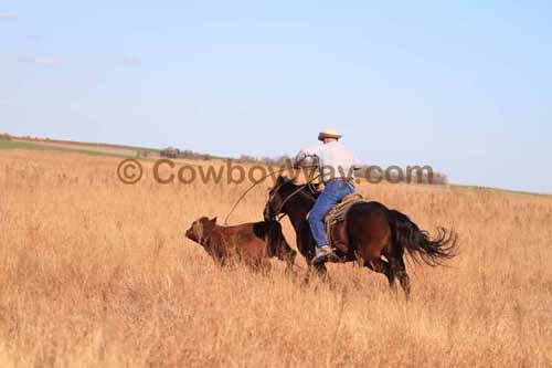 CRCM Pasture Roping, 11-07-15 - Photo 82