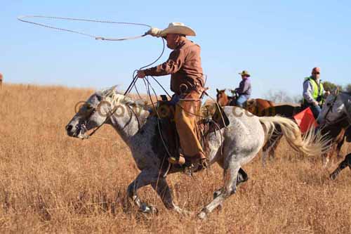 CRCM Pasture Roping, 11-07-15 - Photo 83