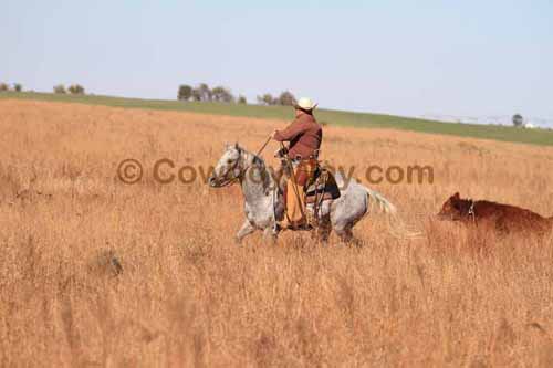 CRCM Pasture Roping, 11-07-15 - Photo 85