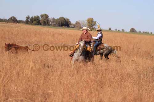 CRCM Pasture Roping, 11-07-15 - Photo 86
