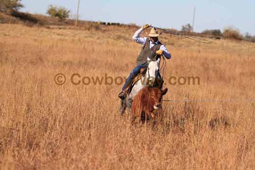 CRCM Pasture Roping, 11-07-15 - Photo 87