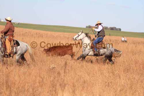 CRCM Pasture Roping, 11-07-15 - Photo 88