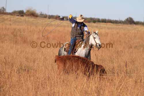 CRCM Pasture Roping, 11-07-15 - Photo 89