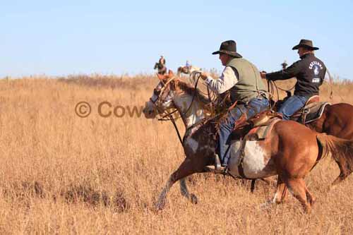 CRCM Pasture Roping, 11-07-15 - Photo 91