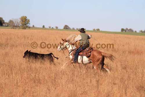 CRCM Pasture Roping, 11-07-15 - Photo 92