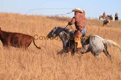 CRCM Pasture Roping, 11-07-15 - Photo 95