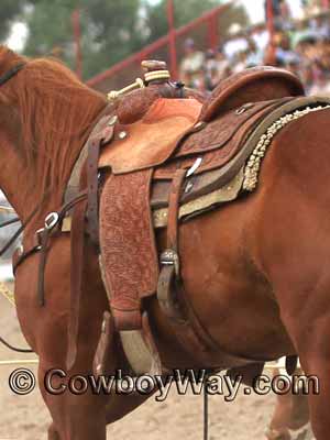 A calf roping saddle with front and back cinch