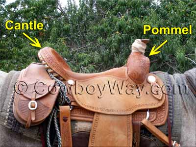 The pommel of a saddle