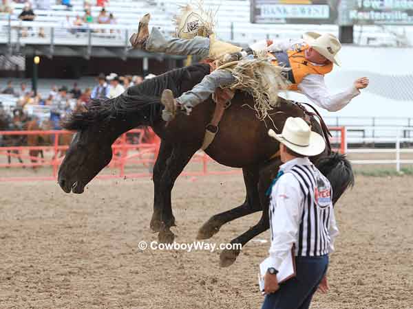 A rodeo judge watches a bronc ride
