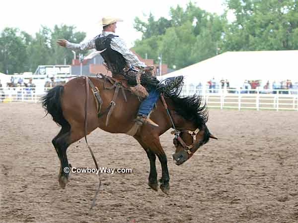 Saddle bronc riding